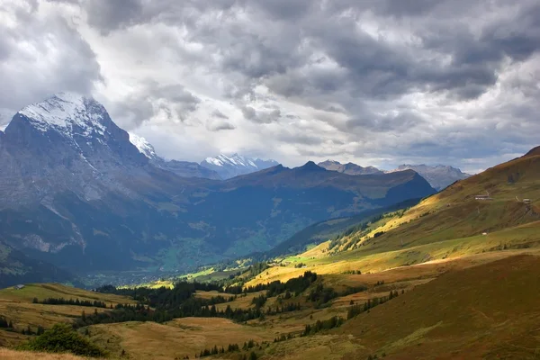 Autumn Alpine meadow — Stock Photo, Image