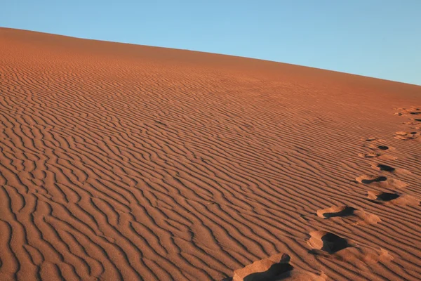 砂丘の頂上に深い跡 — ストック写真