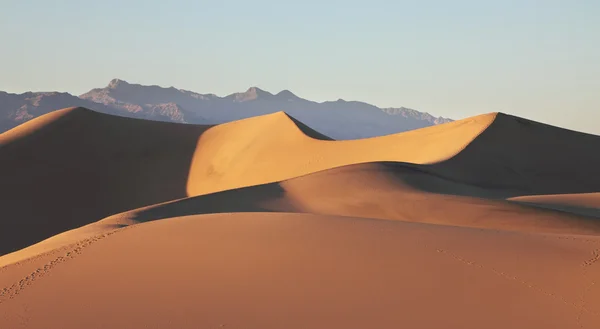 Sand dunes at sunrise — Stock Photo, Image