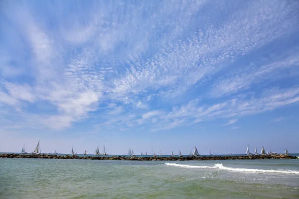 웅대한 항해 요트 — 스톡 사진
