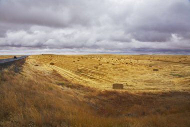 Road among fields of Idaho clipart