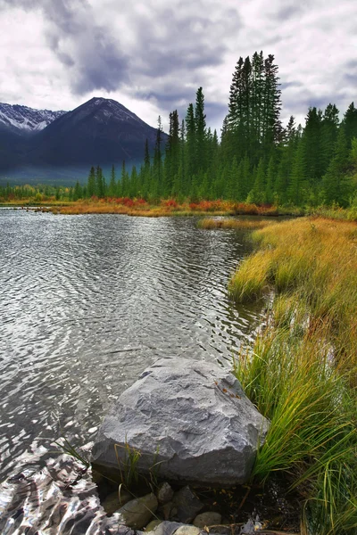 Superficial lac rece — Fotografie, imagine de stoc