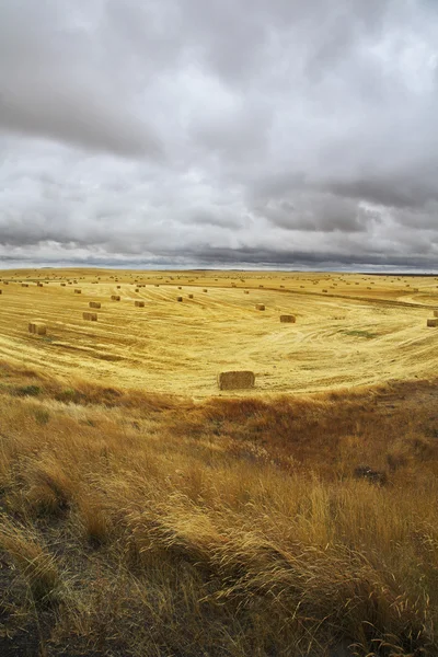 Pole w stanie montana — Zdjęcie stockowe