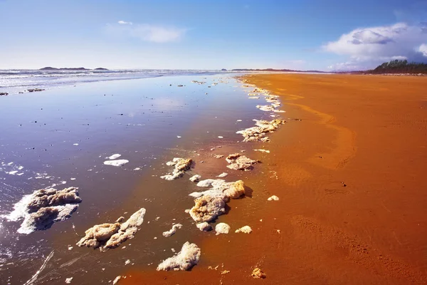 Sandy beach and the rests of sea foam — Stock Photo, Image