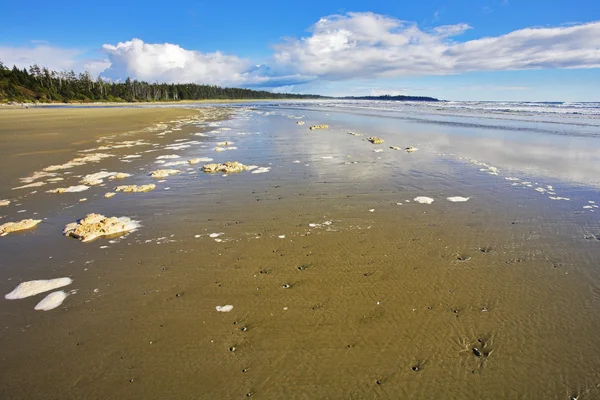 Morze piany na piasku — Zdjęcie stockowe