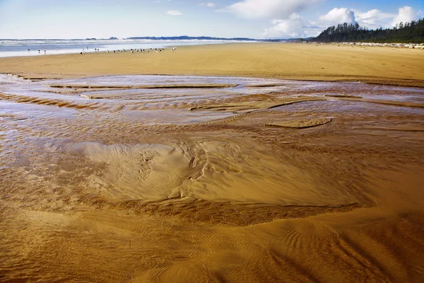 Riesiger Sandstrand am Meer — Stockfoto