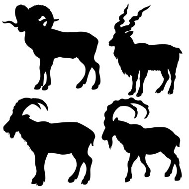 Silhouette mountain ram on white background clipart