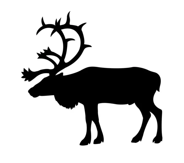 Silhouette of the reindeer on white background — Stock Vector