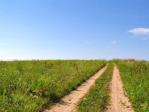 Старение сельской дороги на зеленом поле — стоковое фото