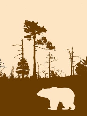 Silhouette bear on background wild wood clipart