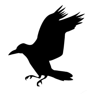 Vector silhouette ravens on white background clipart