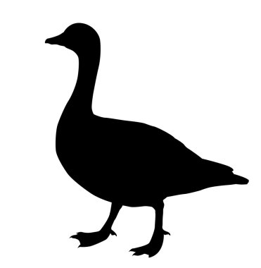Vector silhouette goose on white background clipart