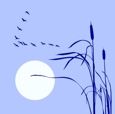 Drawing flock geese on bulrush clipart