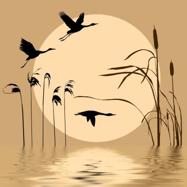 Drawing flying birds on background sun clipart