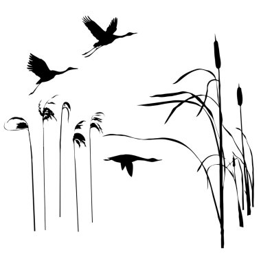 Uçan kuşlar çizim vektör