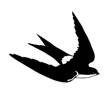 Vector silhouette flying swallows on white background clipart