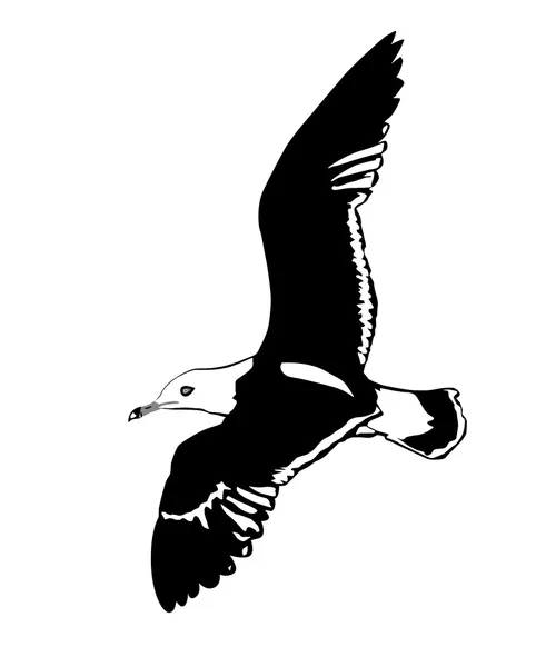 Silhueta vetorial voando gaivotas do mar no fundo branco — Vetor de Stock