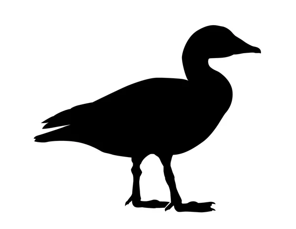 Vector silhouette goose on white background — Stock Vector