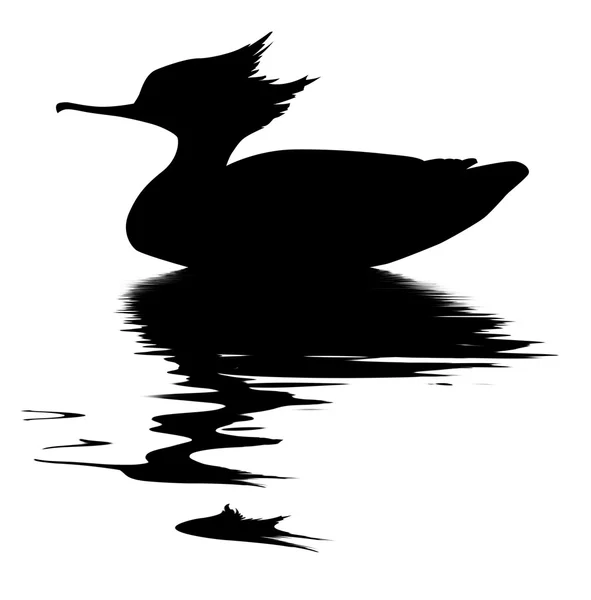 Vektorové kreslení kachní ryby na bílém pozadí — Stockový vektor