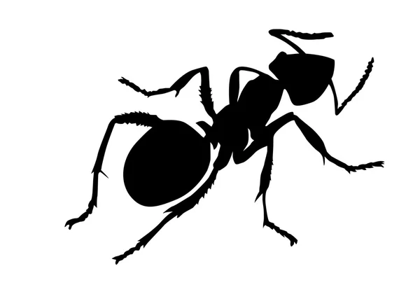 흰색 배경 벡터 실루엣 개미 — 스톡 벡터