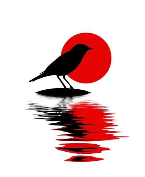 Silhouette de l'oiseau sur pierre parmi l'eau — Image vectorielle