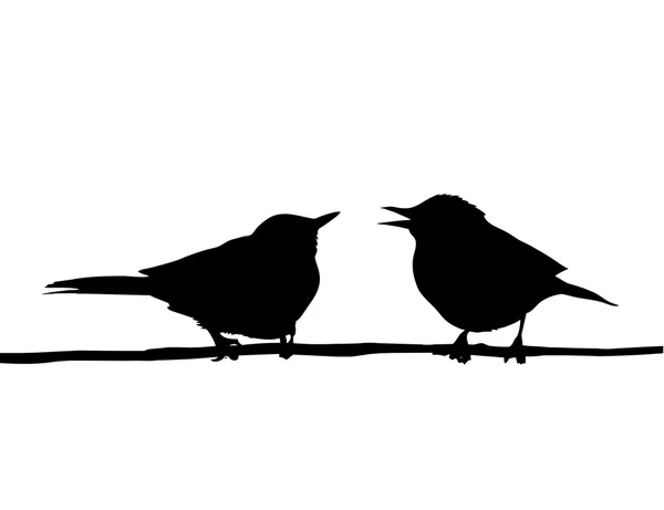 Vector drawing two birds sitting on branch — Stock Vector