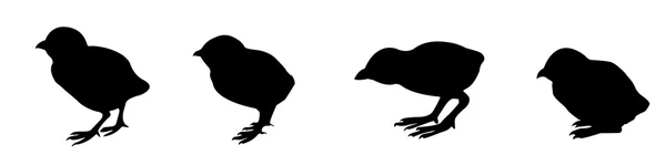 Silhouette vectorielle deux oisillons sur fond blanc — Image vectorielle