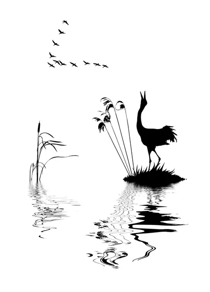 Силуэт птиц на озере — стоковый вектор