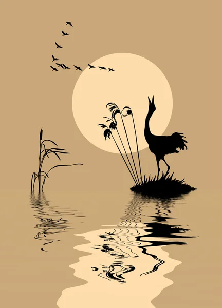 Silhouette des oiseaux sur le lac — Image vectorielle