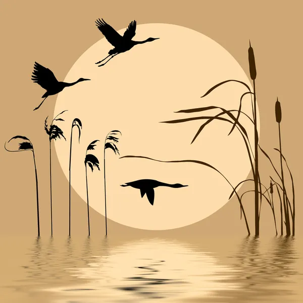 Рисование летающих птиц на фоне солнца — стоковый вектор