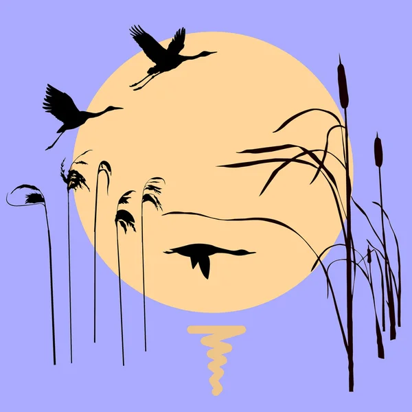 Dessin oiseaux volants sur fond soleil — Image vectorielle