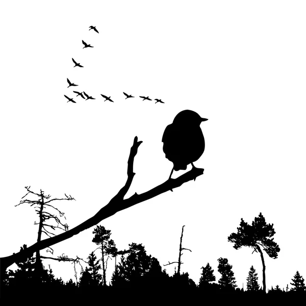 Ilustración vectorial del pájaro en rama — Archivo Imágenes Vectoriales
