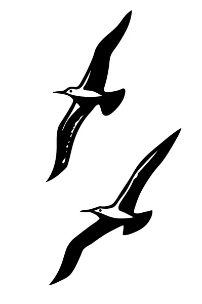 Deniz kuşları Vector silhouettes — Stok Vektör