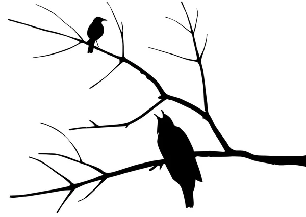 Силуэт птиц на дереве — стоковый вектор