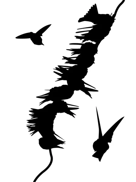 Hirondelles migratrices sur fil — Image vectorielle