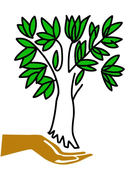 Vector ilustración mano mantiene árbol — Archivo Imágenes Vectoriales