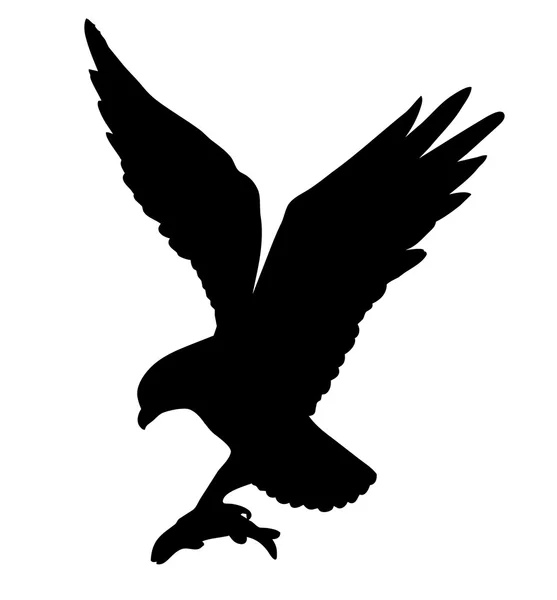 Vektorzeichnung des gefräßigen Vogels auf weißem Hintergrund — Stockvektor