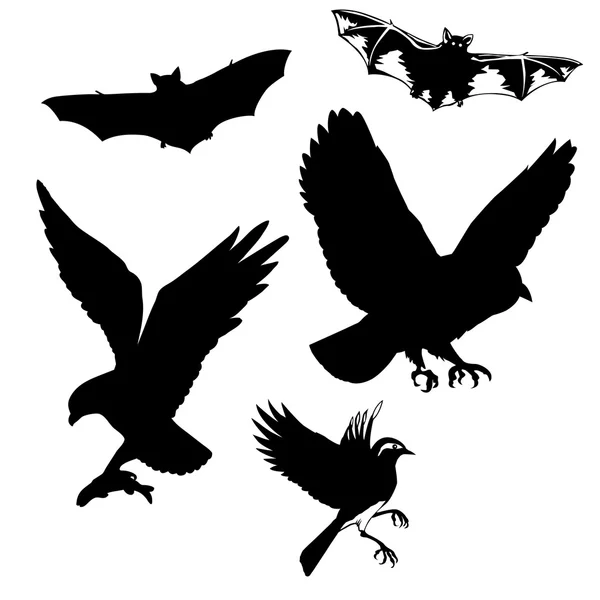 Ilustración vectorial de las aves y murciélagos sobre fondo blanco — Archivo Imágenes Vectoriales