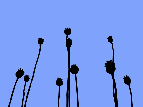 Vector silhouette poppy on blue background — Stock Vector