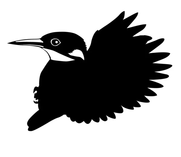 飞鸟，在白色背景上的矢量剪影 — 图库矢量图片