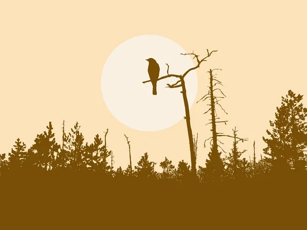 Silhouette fågel på träd — Stock vektor