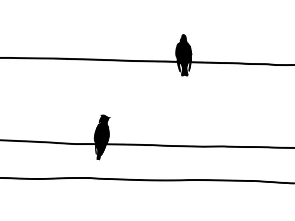 Silhouette vectorielle oiseaux à cirer sur fil — Image vectorielle
