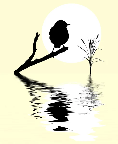 Small bird on branch tree amongst water — Stock Vector