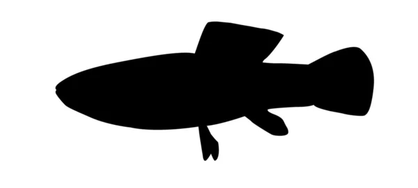 Vector silhouette of fish on white background — Stock Illustration Vector silhouette of fish on white background Royalty Free Stock Vectors