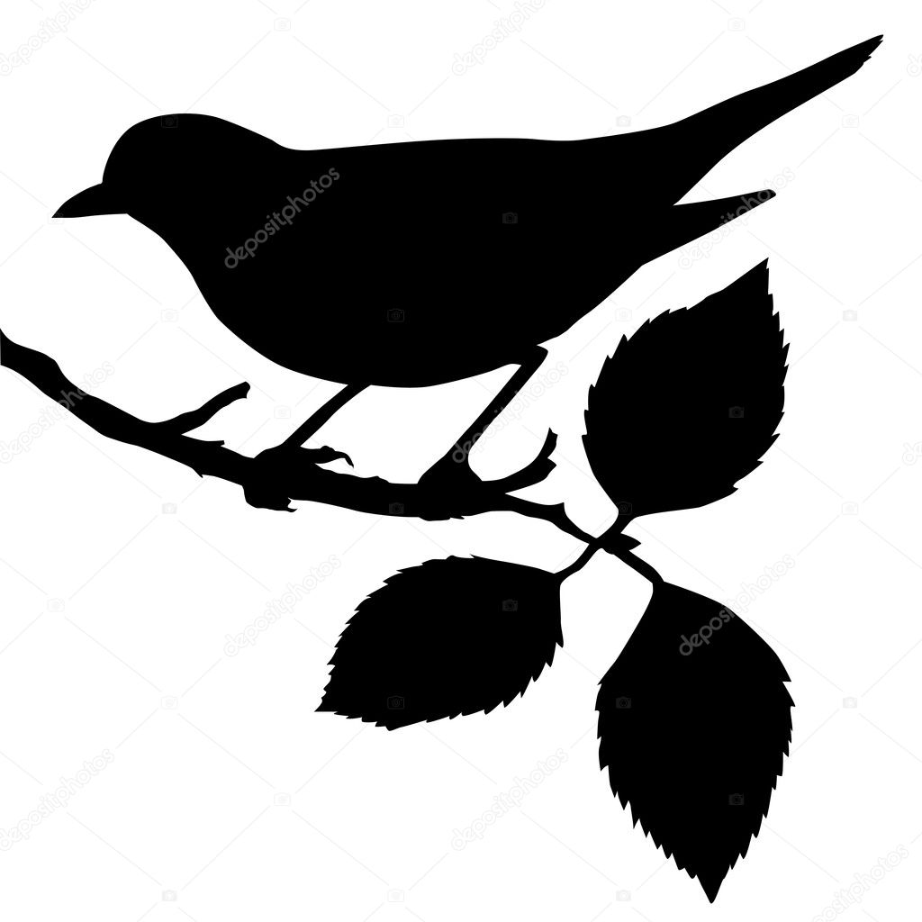 Silhouette of the bird on branch — Stock Vector © basel101658 #5521920