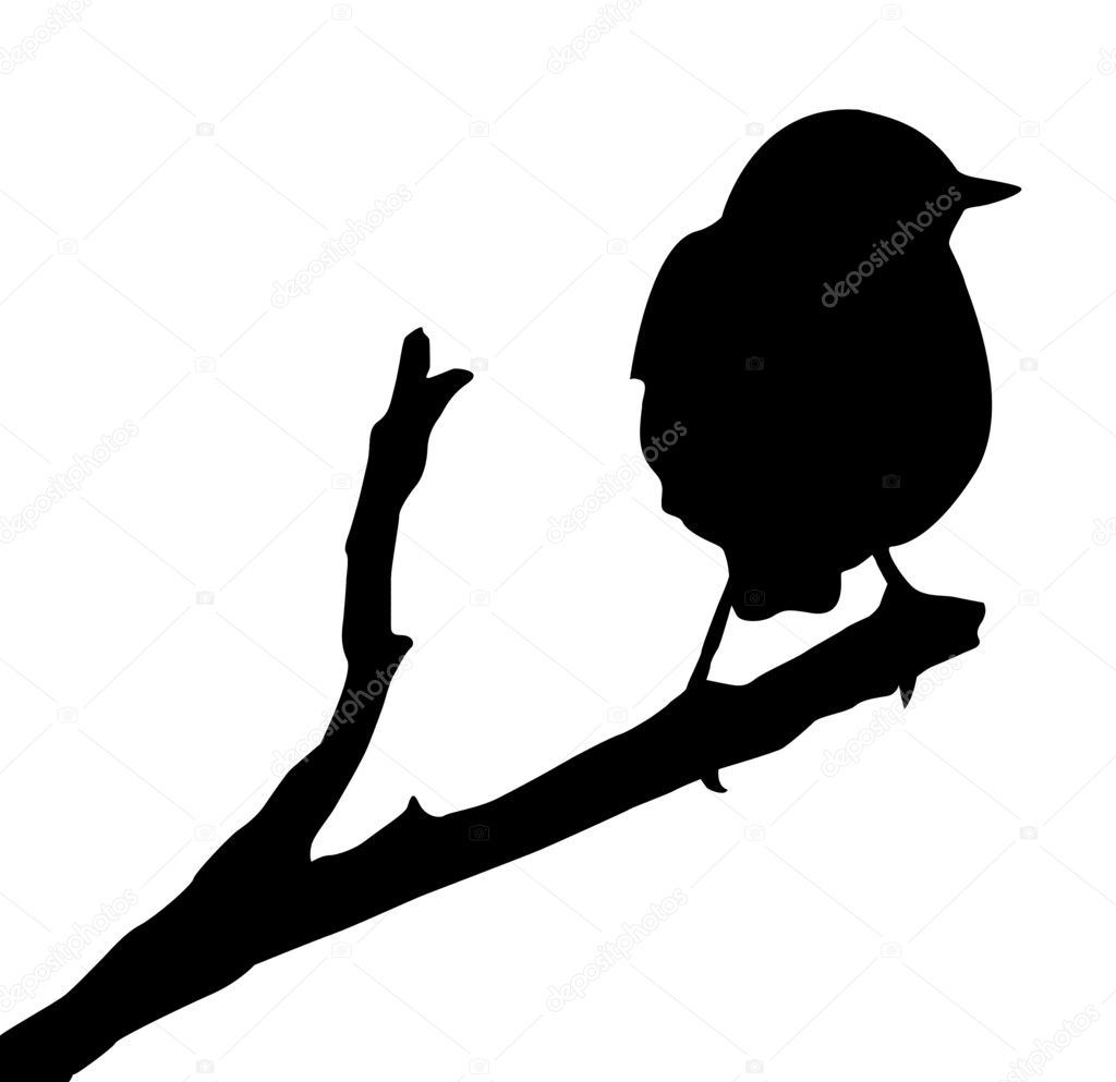 Vector silhouette of the bird on branch — Stock Vector © basel101658 ...