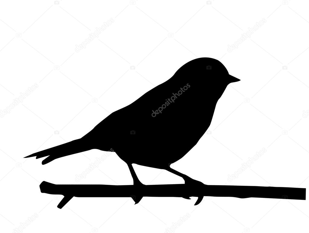 Vector silhouette of the small bird on branch