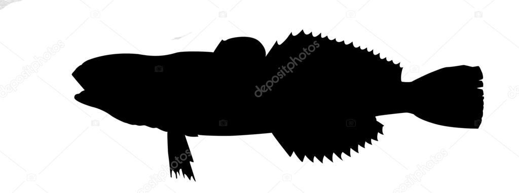 Vector silhouette of fish on white background — Stock Illustration Vector silhouette of fish on white background Royalty Free Stock Illustrations