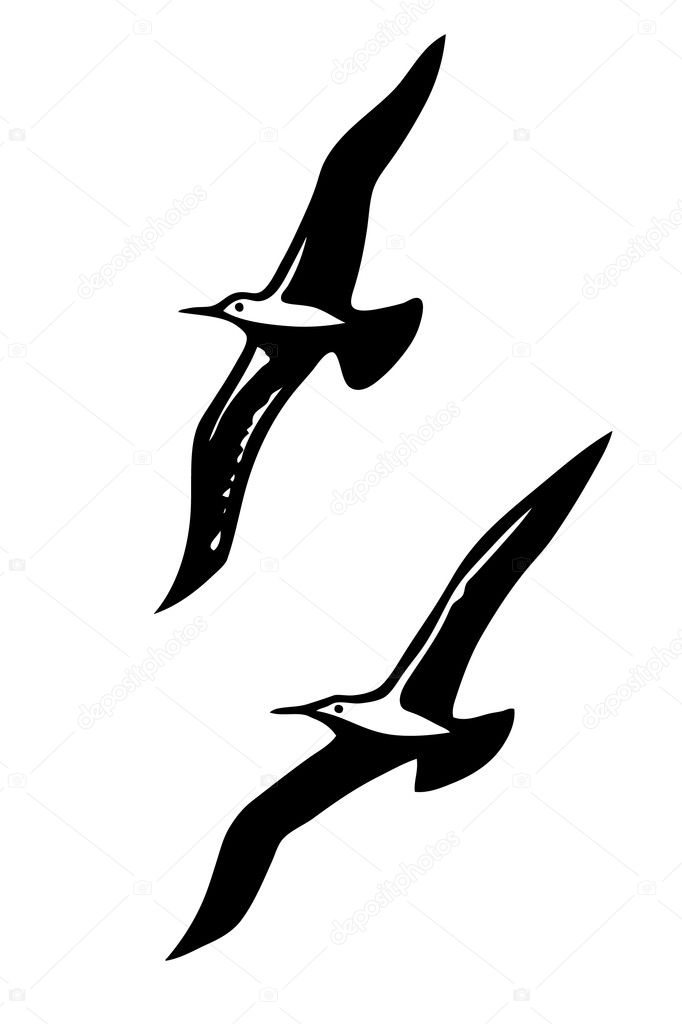 Vector silhouettes of the sea birds