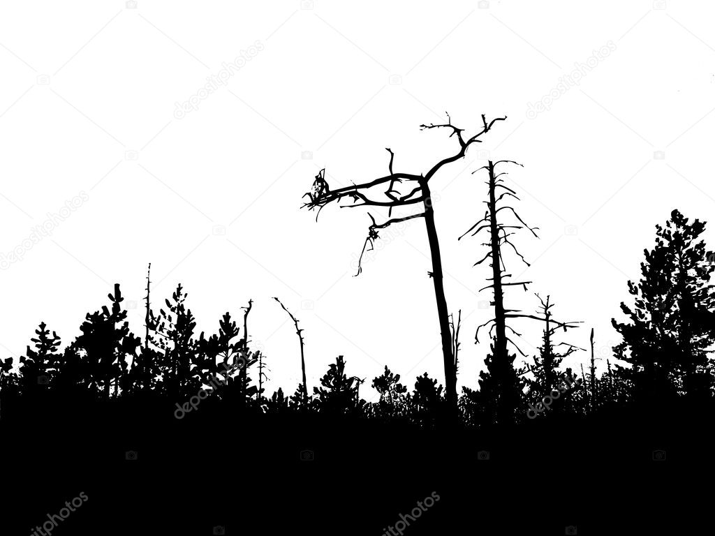 Vector silhouette old wood